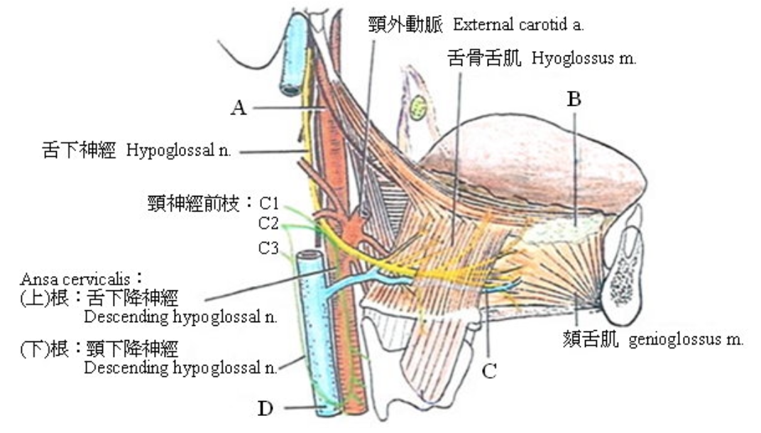 題目圖片